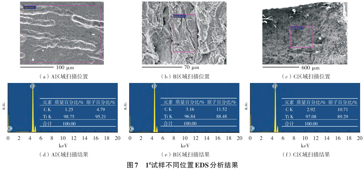 1712629252575394.jpg 7.jpg